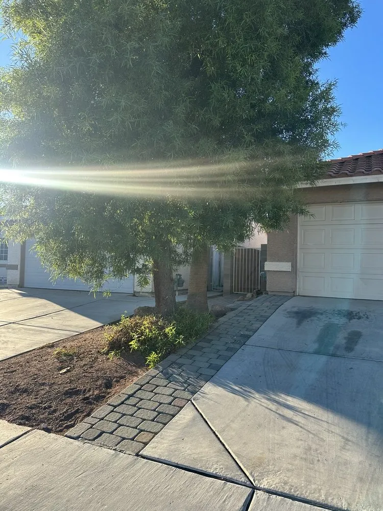 Custom lawn care service for year-round maintenance across Las Vegas, NV - Select Landscape Services