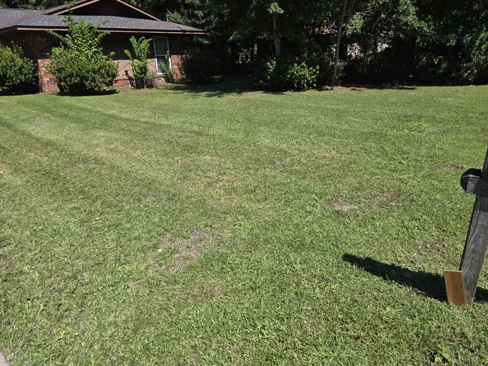 Affordable residential landscaping in Hinesville, GA - SeLecT Landscaping and Design