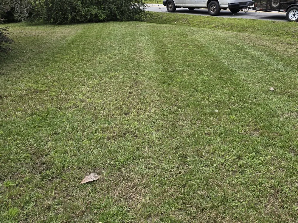 Affordable lawn care service in Hinesville, GA by SeLecT Landscaping and Design