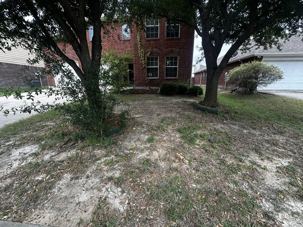 Reliable outdoor landscaping in Princeton, TX by Select Landscaping