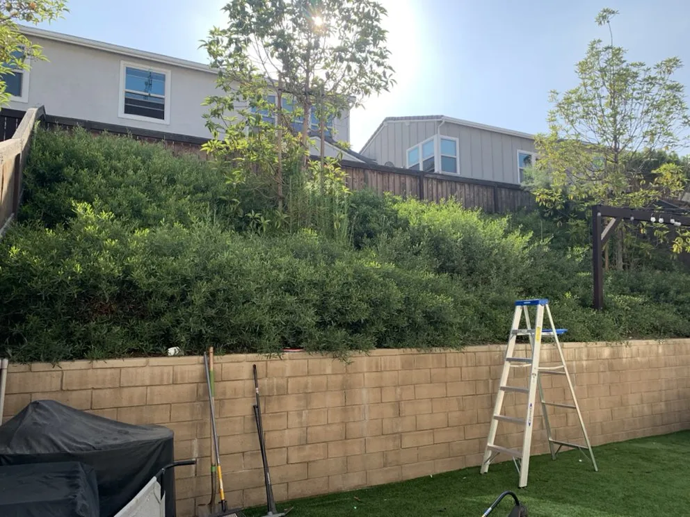 Top-rated yard cleanup service for year-round maintenance in Chula Vista, CA by Select Lawn Care