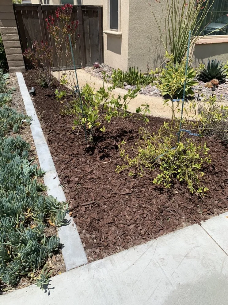 Local lawn mowing service for homes in Chula Vista, CA by Select Lawn Care