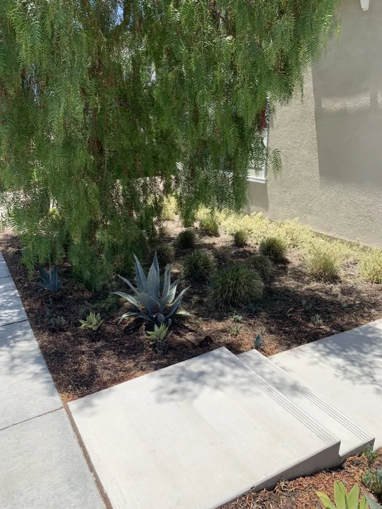 Custom landscaping services in Chula Vista, CA by Select Lawn Care