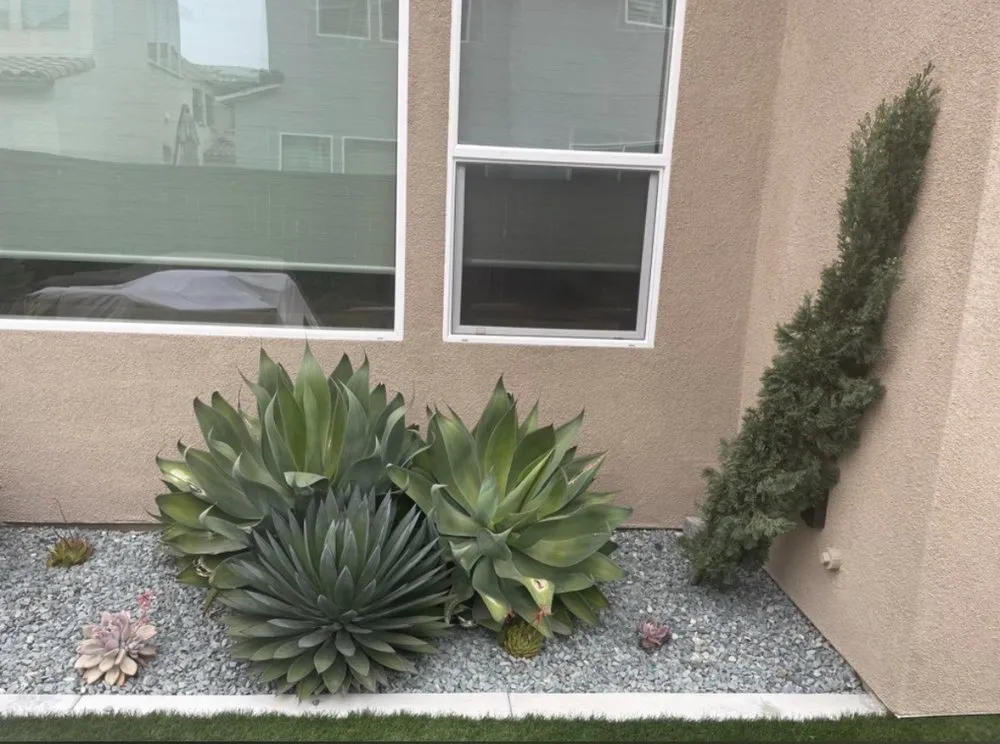 Professional lawn care service for beautiful yards across Chula Vista, CA - Select Lawn Care