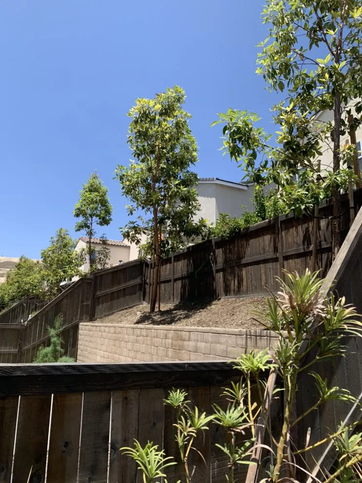 Professional landscape installation in Chula Vista, CA - Select Lawn Care