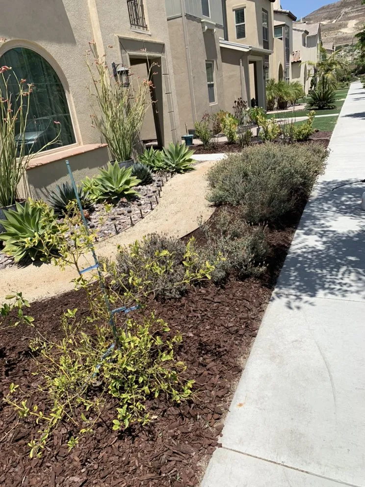 Reliable yard maintenance for residential properties across Chula Vista, CA - Select Lawn Care