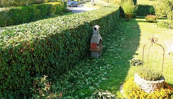 Top-rated garden landscaping for year-round maintenance in Mooresville, NC by Select Lawn Care Of Lake Norman