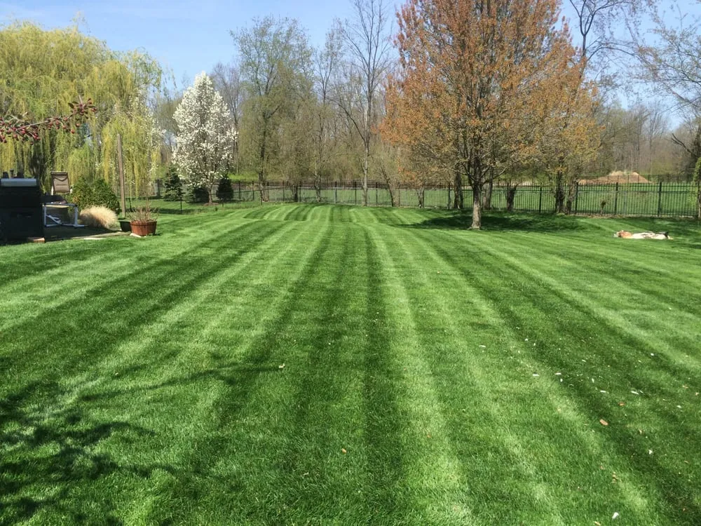 Professional garden landscaping in Anderson, IN - Select Lawn Services