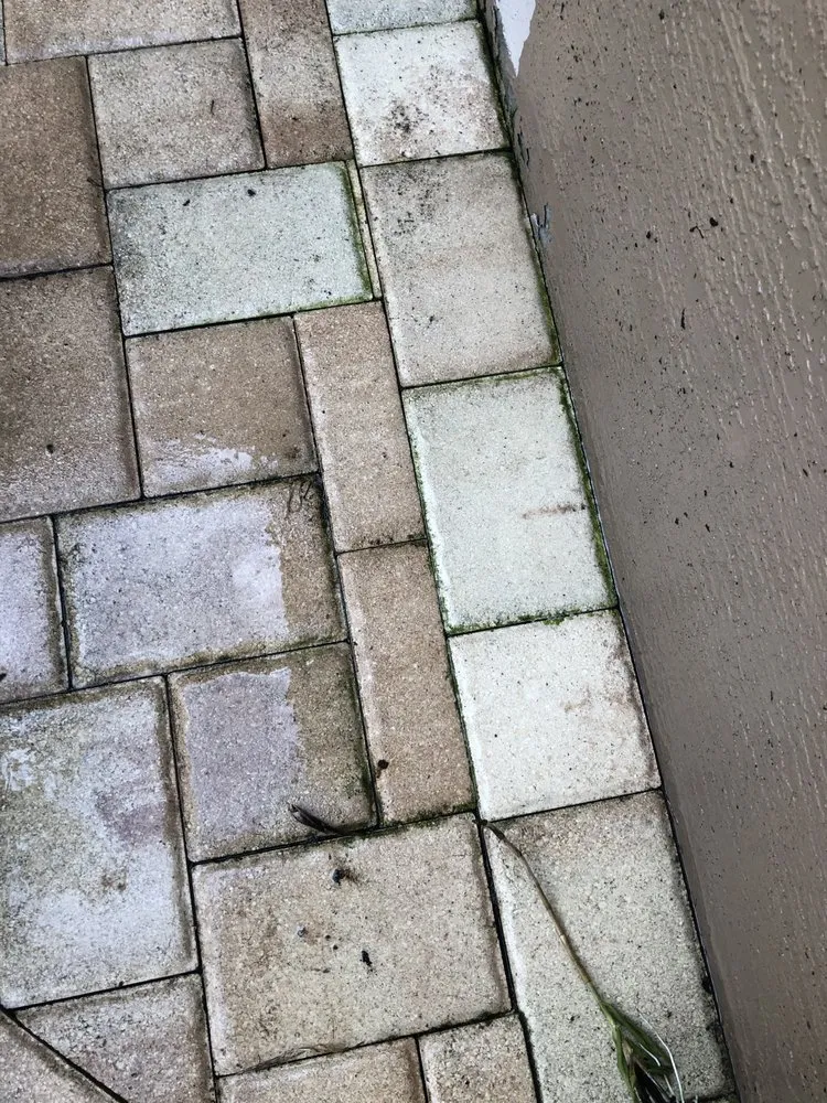 Top-rated landscape design for beautiful yards in Spring Hill, FL by Select Property Maintenance