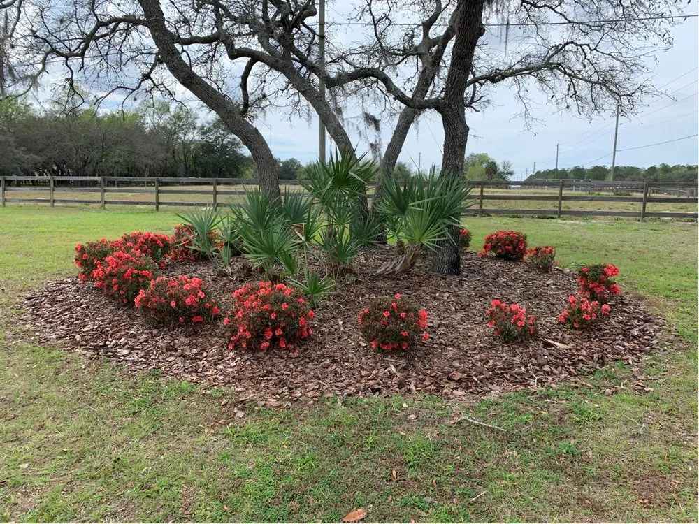 Affordable yard maintenance in Spring Hill, FL - Select Property Maintenance