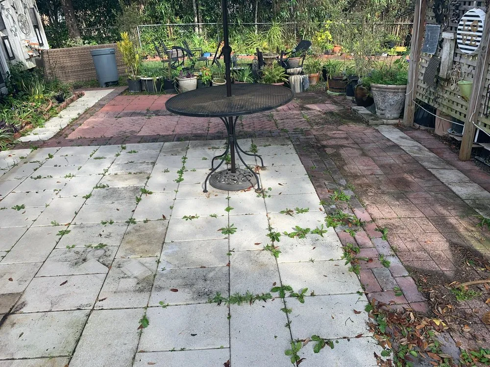 Reliable landscape installation for outdoor upgrades across Spring Hill, FL - Select Property Maintenance