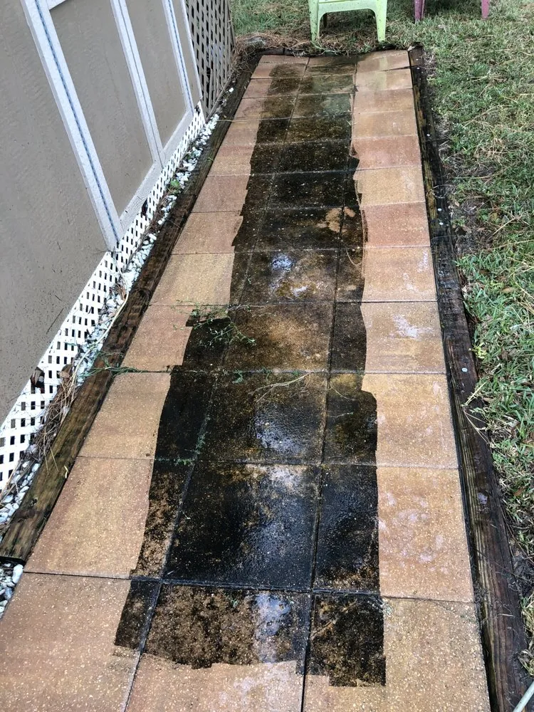 Expert yard maintenance in Spring Hill, FL - Select Property Maintenance