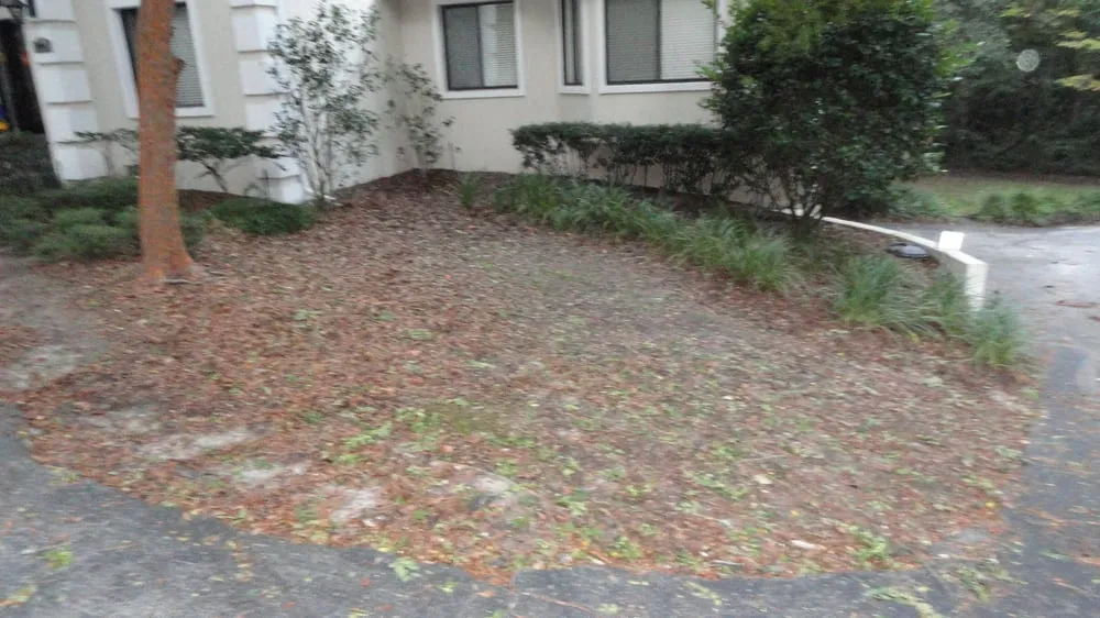 Reliable lawn care service in Gainesville, FL by Select Scape Landscape