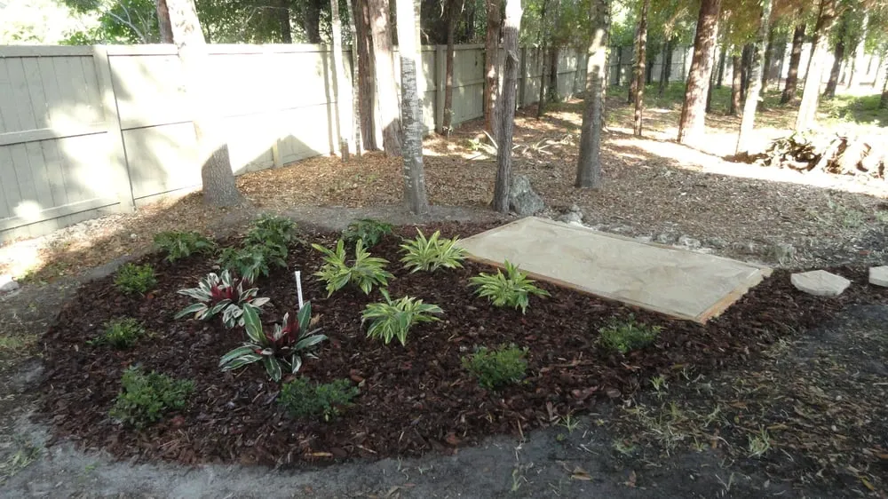 Local lawn mowing service for year-round maintenance in Gainesville, FL by Select Scape Landscape