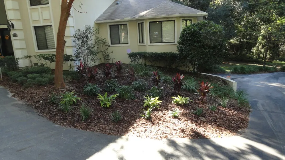 Reliable yard cleanup service for homes in Gainesville, FL by Select Scape Landscape