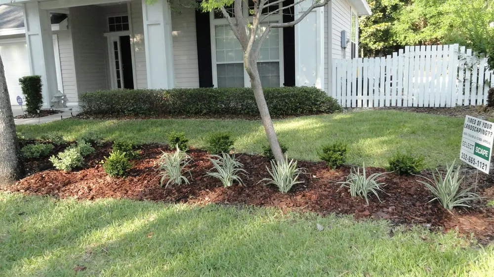 Local landscape design in Gainesville, FL by Select Scape Landscape