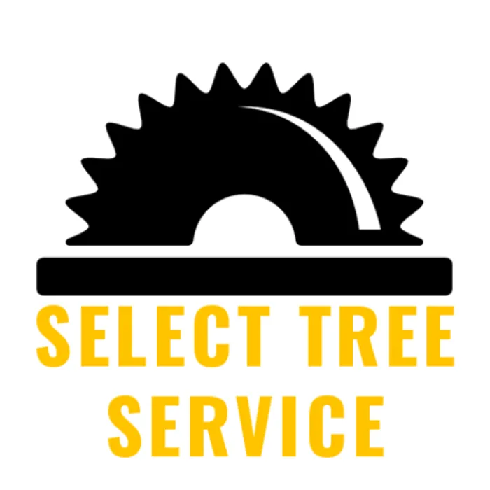 Top-rated garden landscaping experts serving Jonesville, NC - Select Tree Service