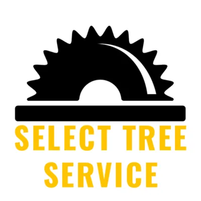 Select Tree Service