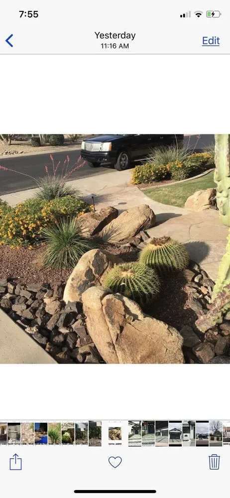 Reliable landscape installation for outdoor upgrades across Tempe, AZ - Select Valley Services