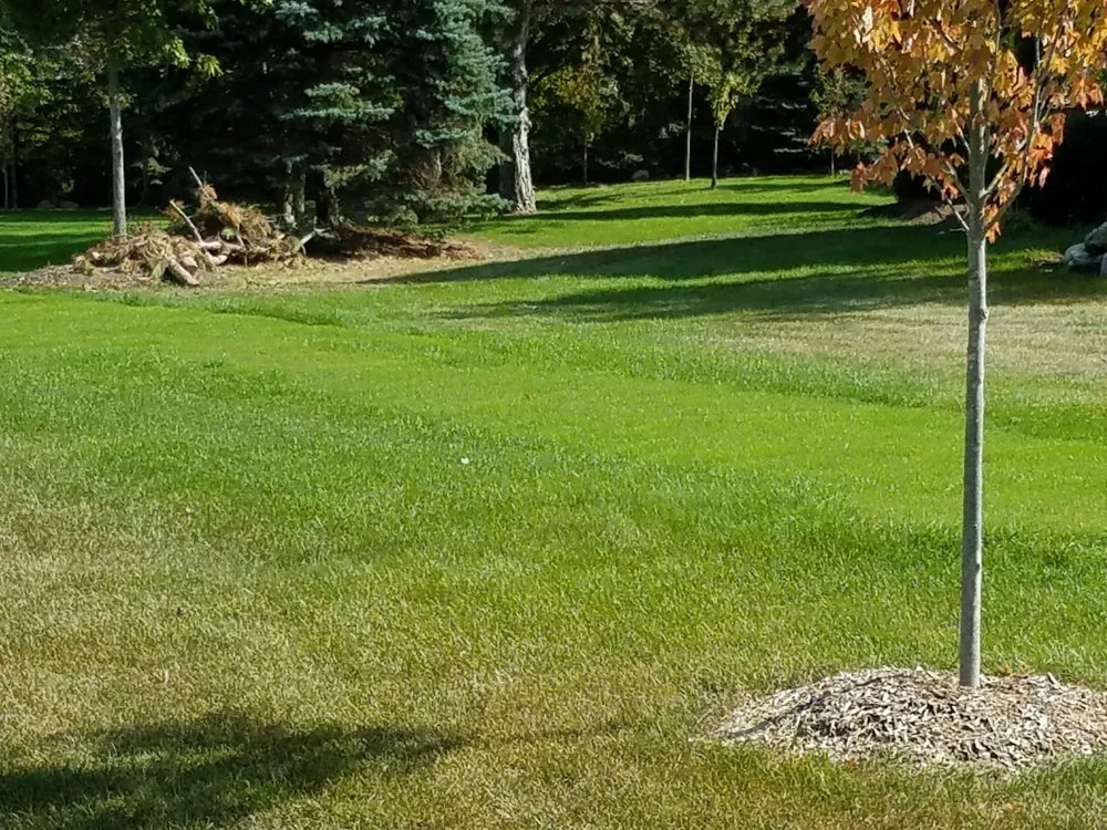 Custom yard maintenance in South Lyon, MI - Selective Soils And Services