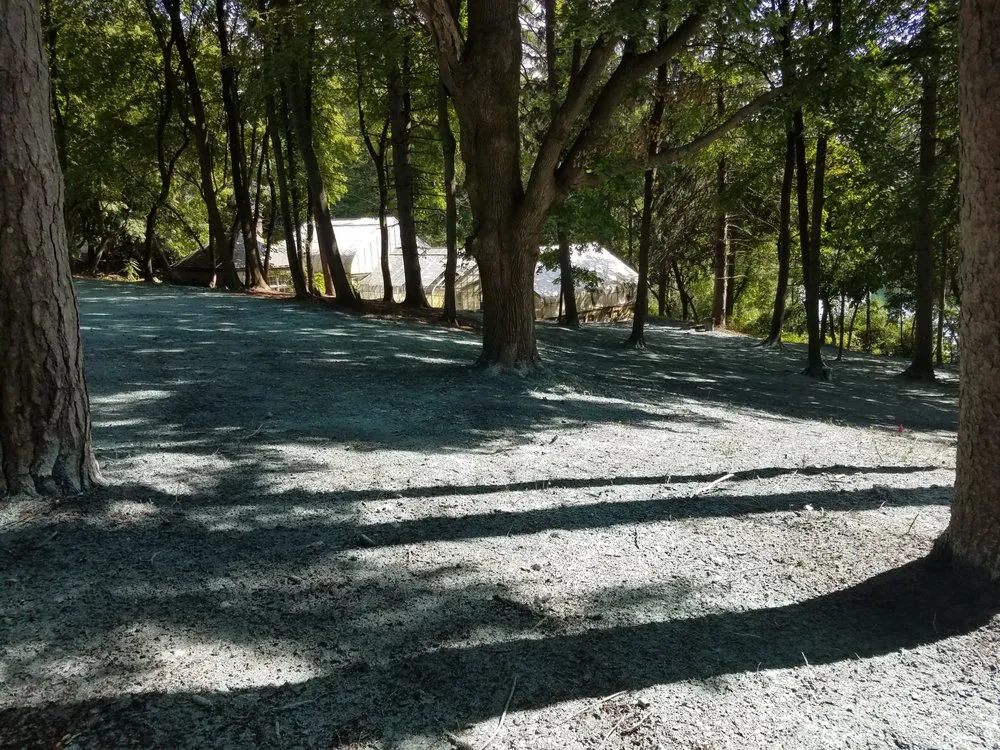 Affordable lawn care service in South Lyon, MI by Selective Soils And Services