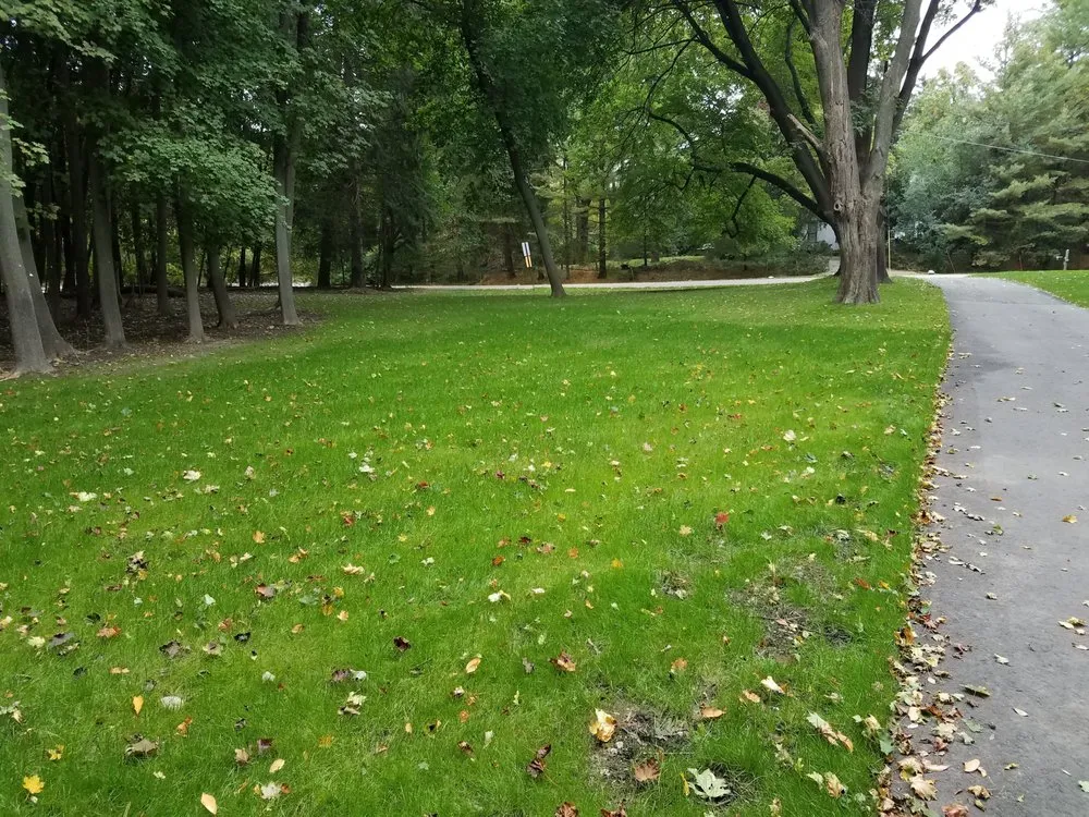 Custom residential landscaping in South Lyon, MI - Selective Soils And Services