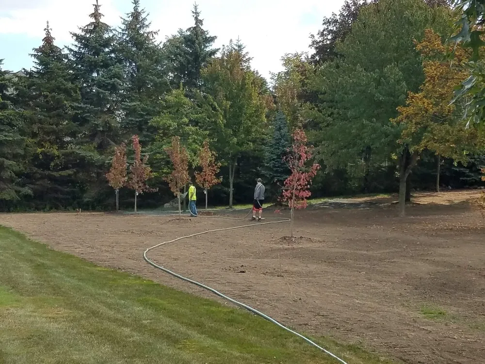 Local outdoor landscaping for year-round maintenance across South Lyon, MI - Selective Soils And Services
