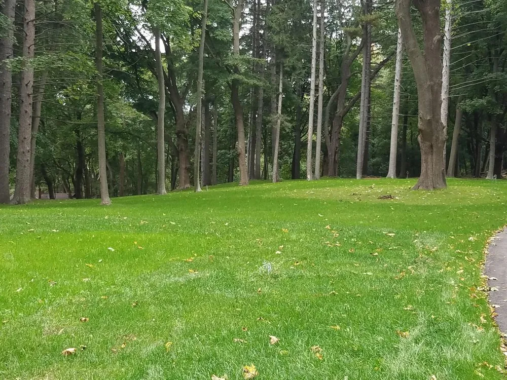 Reliable lawn care service in South Lyon, MI by Selective Soils And Services