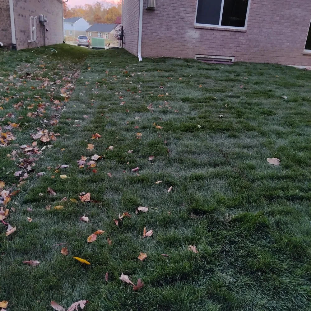 Expert yard cleanup service in South Lyon, MI by Selective Soils And Services