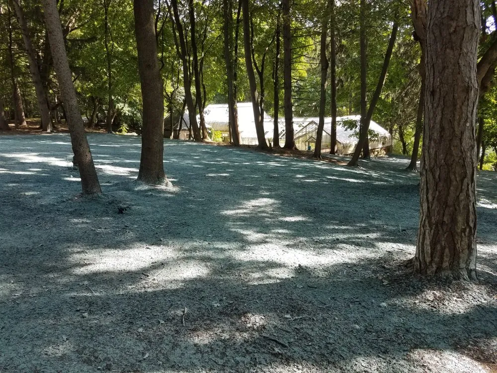 Custom yard cleanup service experts serving South Lyon, MI - Selective Soils And Services