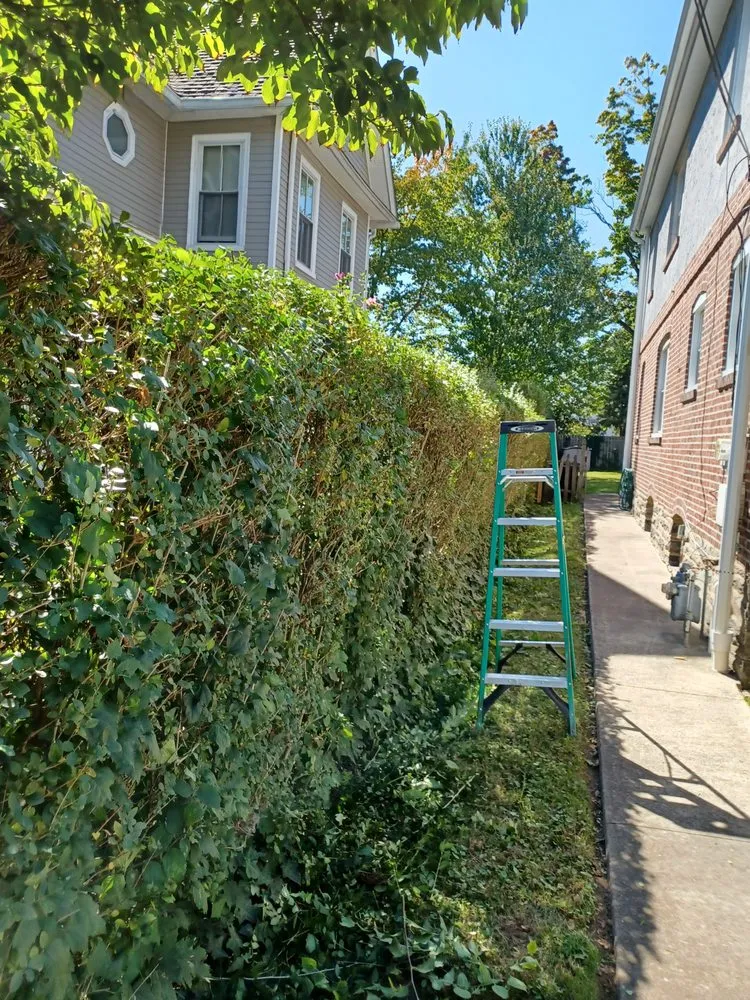 Local garden landscaping experts serving Bryn Mawr, PA - Selena's Landscape, Design & Tree Service