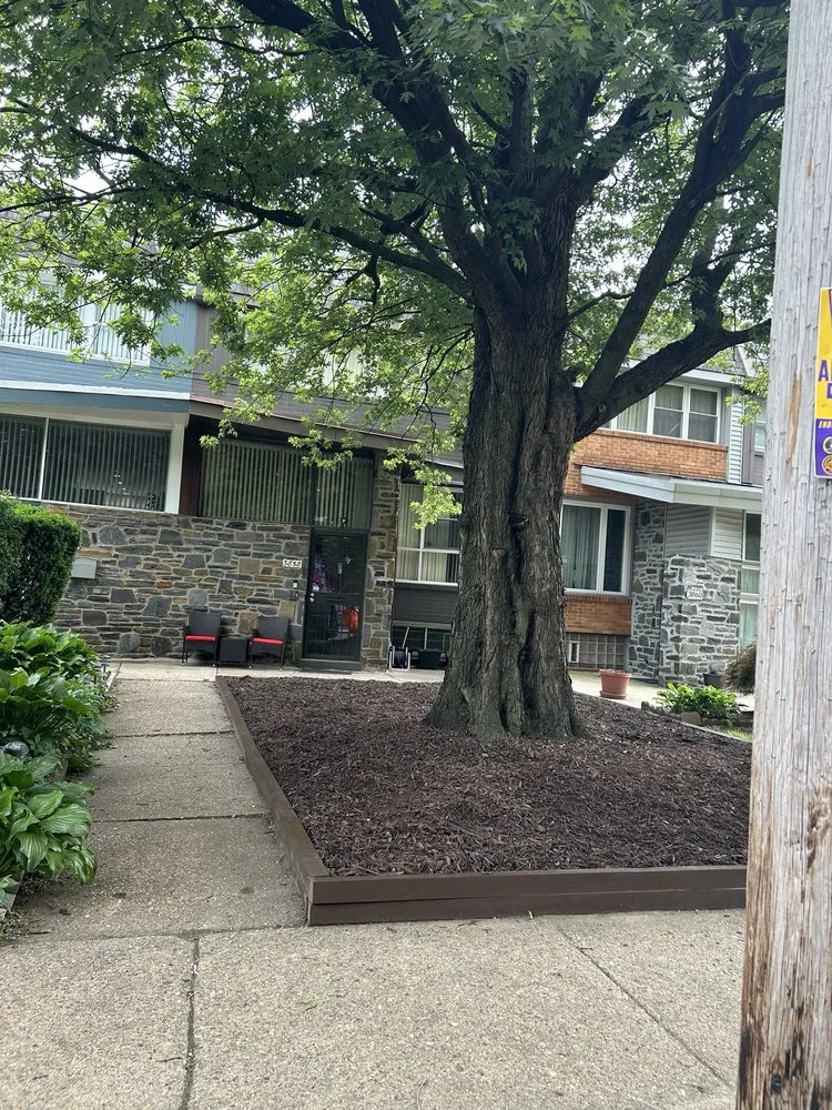 Professional lawn mowing service in Bryn Mawr, PA - Selena's Landscape, Design & Tree Service