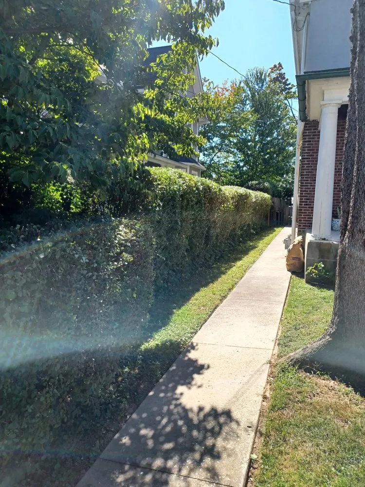 Reliable landscape installation in Bryn Mawr, PA by Selena's Landscape, Design & Tree Service