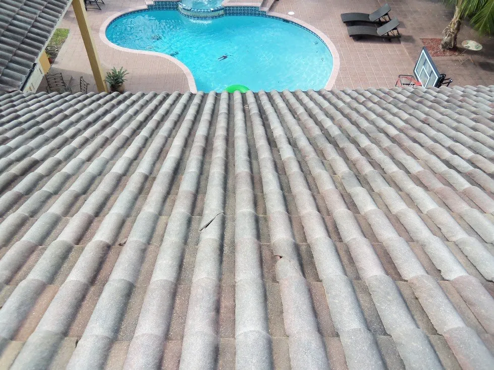 Local landscaping services in Poinciana, FL by Selenium Empire