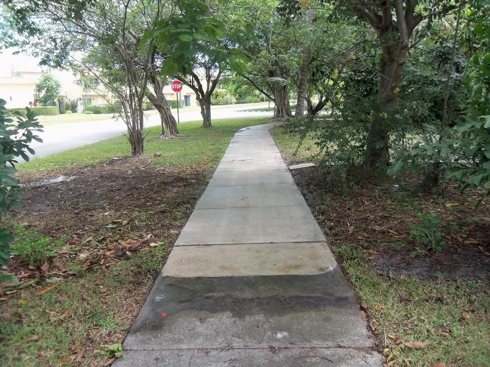 Expert residential landscaping in Poinciana, FL - Selenium Empire