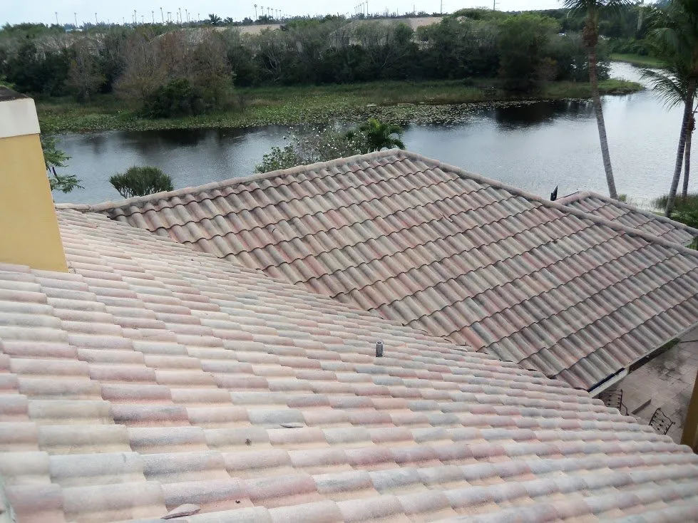 Reliable landscape installation for residential properties in Poinciana, FL by Selenium Empire