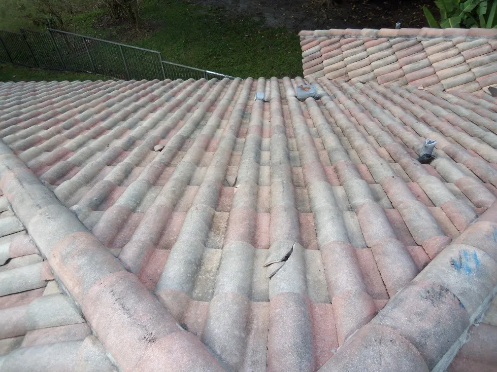 Trusted landscape design in Poinciana, FL by Selenium Empire