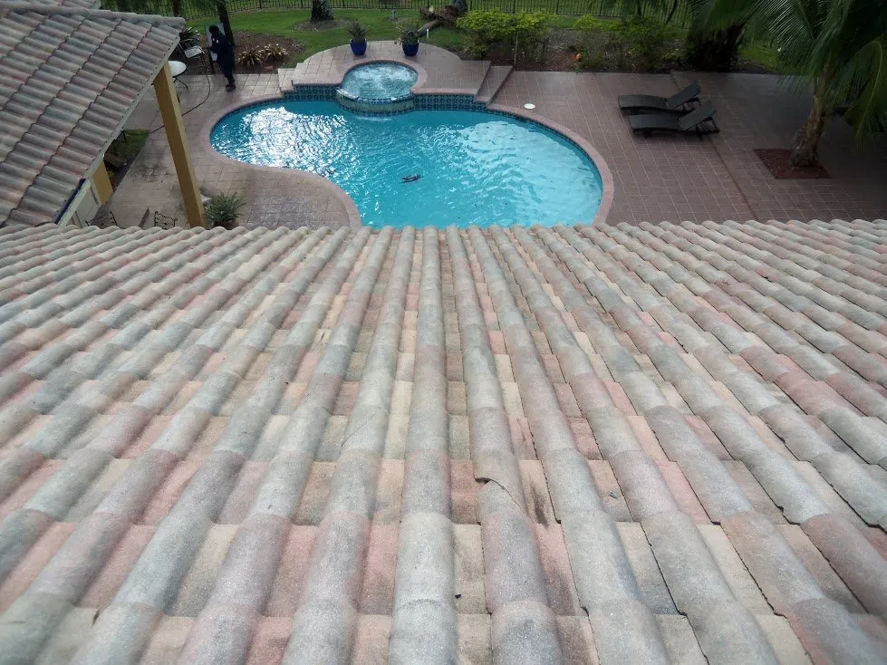 Custom landscape design in Poinciana, FL - Selenium Empire