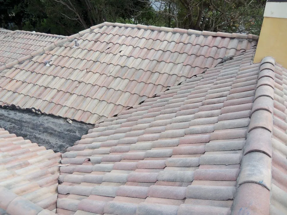 Reliable outdoor landscaping in Poinciana, FL by Selenium Empire