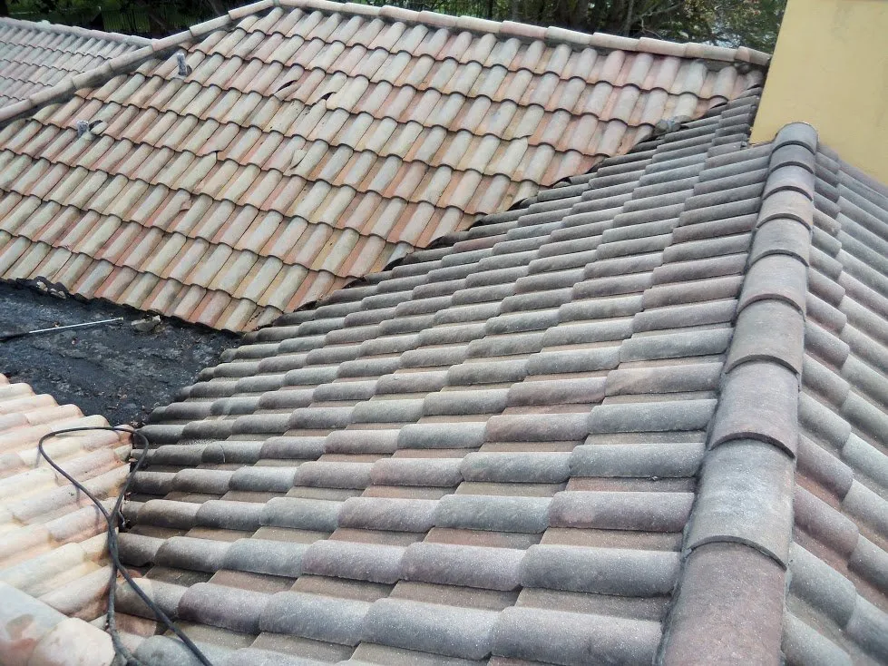 Affordable lawn care service experts serving Poinciana, FL - Selenium Empire