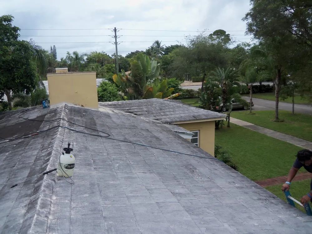 Affordable lawn mowing service in Poinciana, FL by Selenium Empire