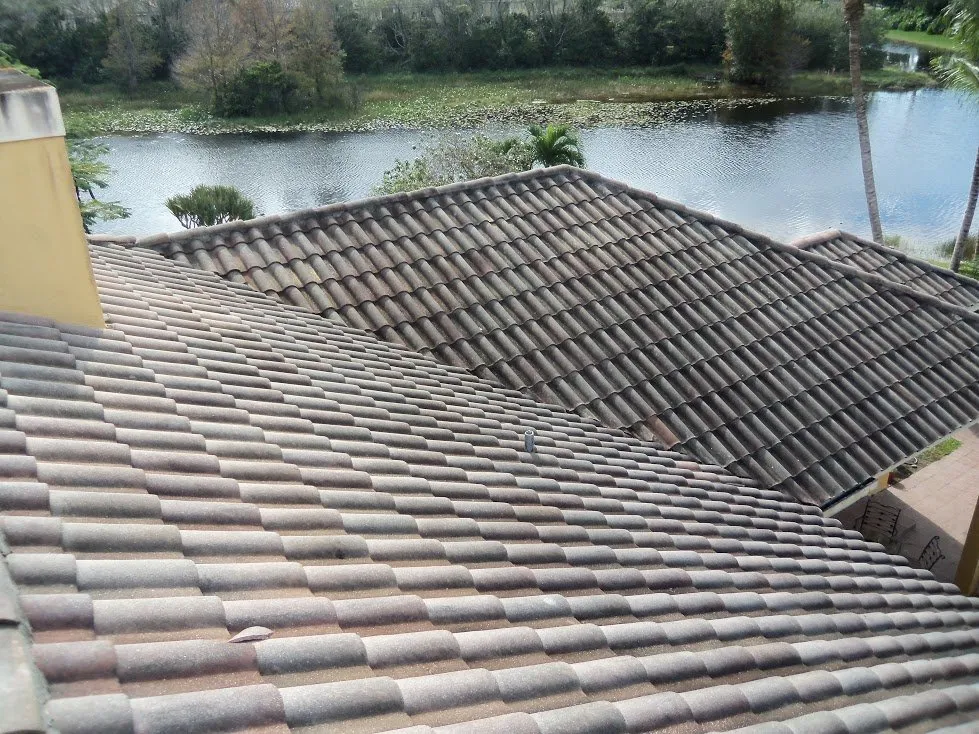 Local landscape installation for homes in Poinciana, FL by Selenium Empire