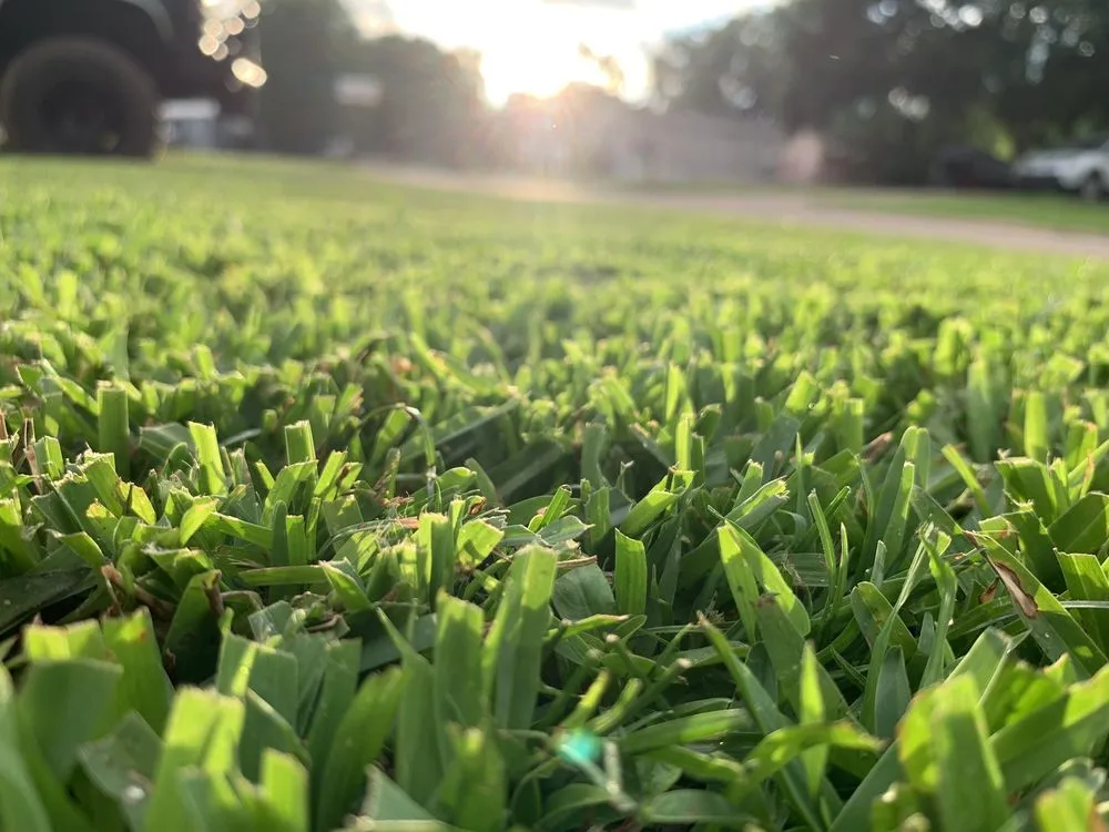 Reliable yard maintenance for beautiful yards in Haughton, LA by Self Made Lawncare