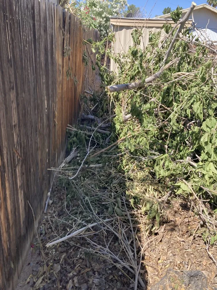 Local yard maintenance in Needles, CA - Self Service