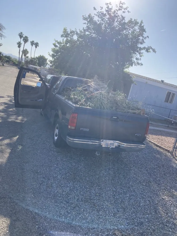 Trusted yard cleanup service in Needles, CA - Self Service