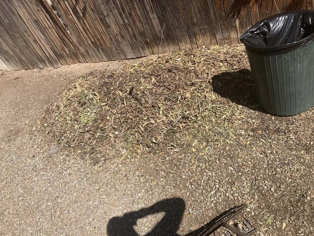 Local landscape design in Needles, CA by Self Service