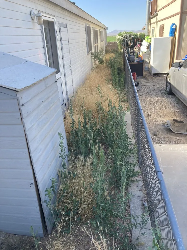 Trusted lawn mowing service experts serving Needles, CA - Self Service