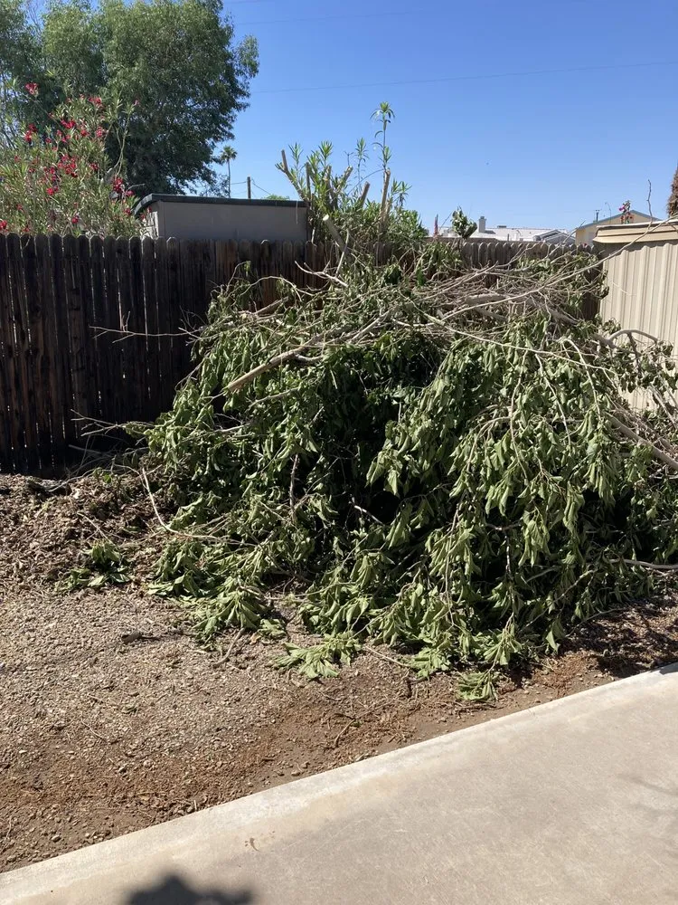 Expert lawn care service for outdoor upgrades across Needles, CA - Self Service