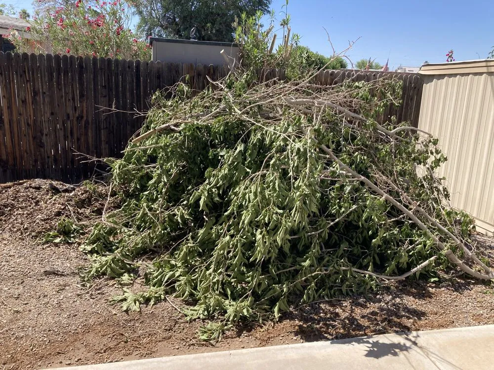 Custom outdoor landscaping for beautiful yards in Needles, CA by Self Service