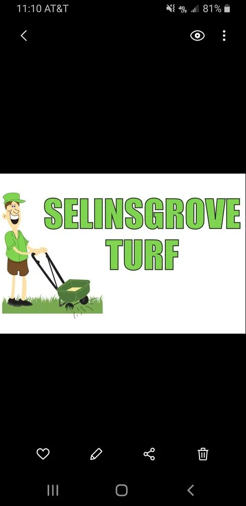 Trusted landscape installation for outdoor upgrades in Sunbury, PA by Selinsgrove Turf